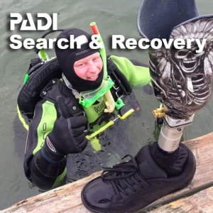 Search and Recovery